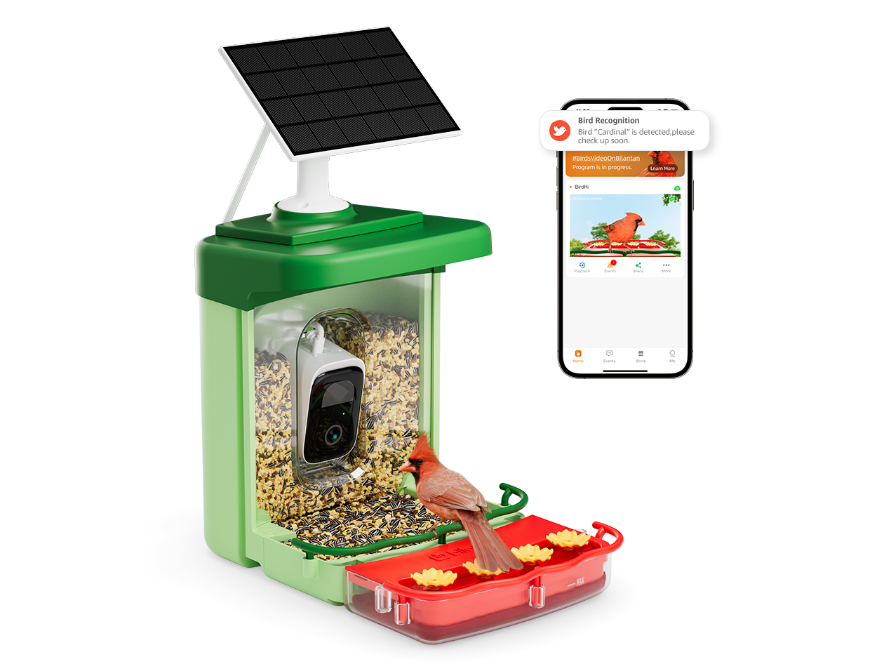 BirdHi Ultra Solar Powered Smart Bird Feeder with Camera