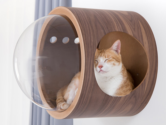 MyZoo Spaceship Gamma: Wall-Mounted Cat Bed (Walnut/Open Left)