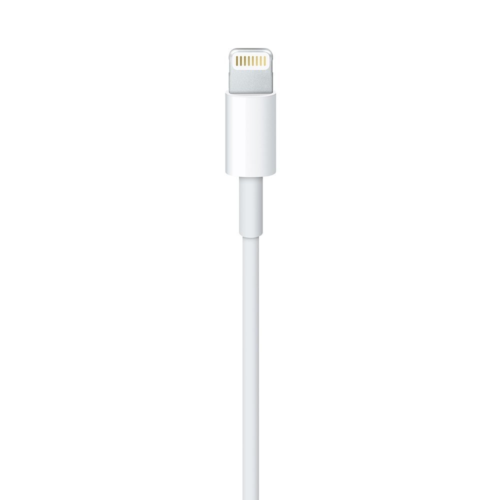 Apple 2 Meter (6 Feet Long) Lightning to USB Cable - White (10 Pack)