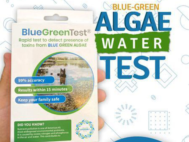 5Strands BlueGreen Algae Test