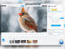 VideoProc Converter AI: Lifetime License (For Windows)
