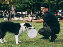 Become A Dog Trainer: Dog Training Career - Product Image