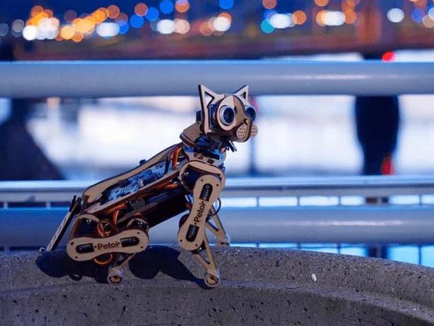 Nybble hotsell robot cat