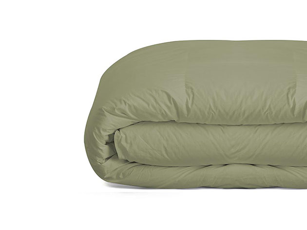 iEnjoy Home Down Alternative Sage Comforter (Full/Queen)