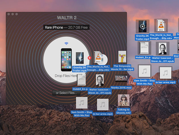 waltr 2 vs anytrans