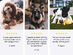 DNA My Dog Breed Identification Test (5-Pack)