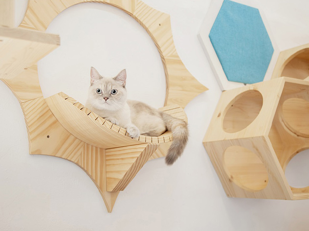 MyZoo Solar: Wall Mounted Cat Shelves