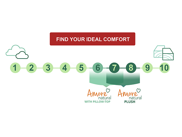 Amore Natural Hybrid Mattress Pillow-Top (California King) + 1 Free Pillow