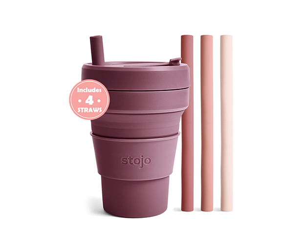 Stojo 12oz Cup with 4 Straws (2-Pack)