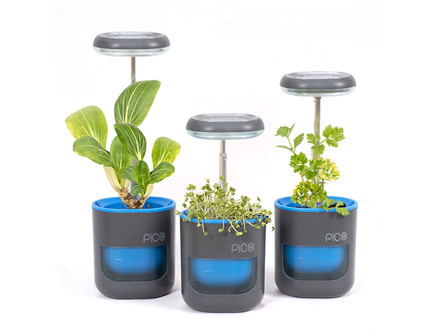 PICO Smart Indoor Herb Planter (Stone Blue/3-Pack)
