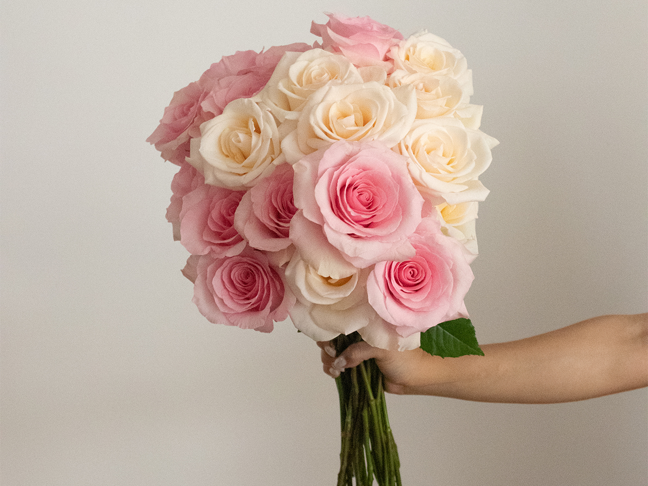 Get 2 Dozen Farmer's Color Choice Long-Stem Roses for Only $19.99! (Shipping Not Included)