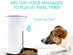 Arf Pets Automatic Pet Feeder Food Dispenser for Dogs & Cats