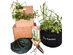 Outdoor Container Garden Kits with Tools (Tea Herb)
