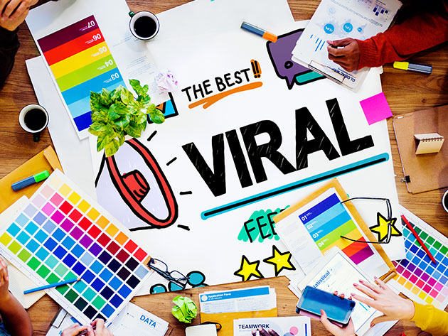 Online Diploma in Viral Marketing: Live Course Webinar
