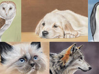 Drawing Animals Using Pastel Pencils - Product Image