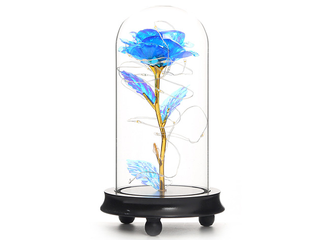 Everlasting Flower Glass Cover Decoration (Blue Rose)