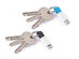 inCharge Keyring Cable: 2-Pack (Lightning & Micro USB)