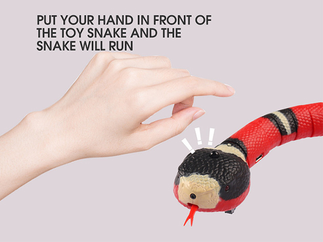 Sneaky Snake: Smart Interactive Cat Toy