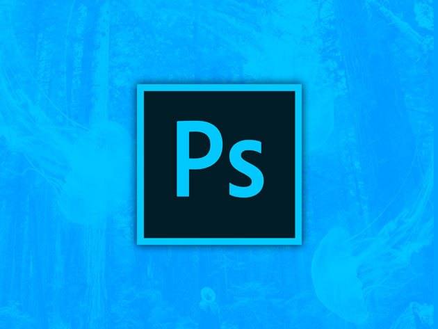 The Complete Adobe Photoshop Elements Course