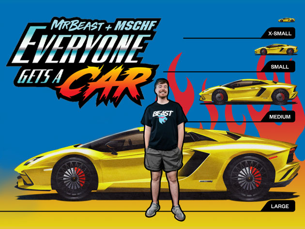 MrBeast + MSCHF Everyone Gets A Car (5-Pack)