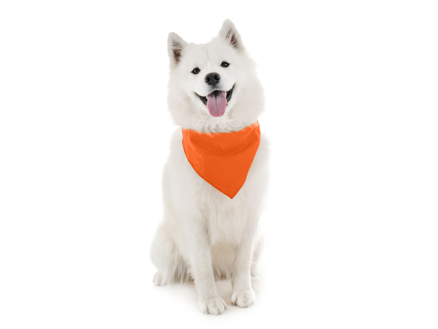 Qraftsy Dog Bandana Scarf Triangle Bibs for Any Size Puppies, Dogs and Cats - Orange