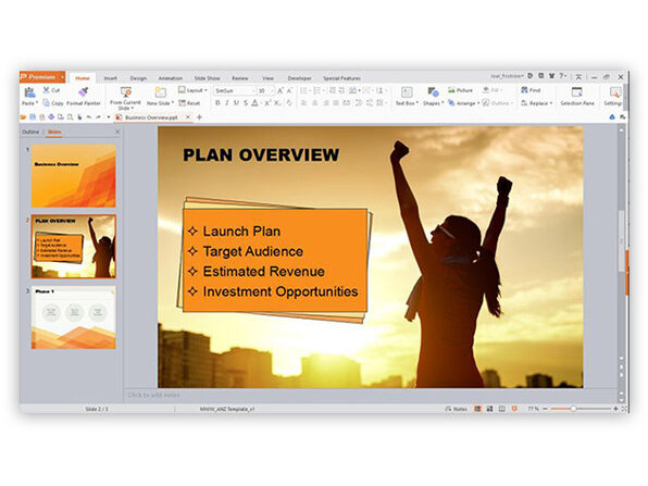 wps office professional lifetime subscription