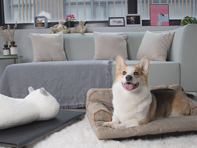 Wickman Dog Sofa (Khaki)