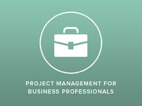 Project Management for Business Professionals - Product Image