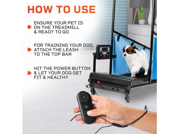 PawRunner Dog Treadmill for Small & Medium Dogs