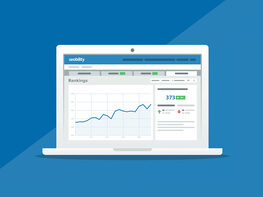 Seobility All-In-One SEO Software & Tools: Lifetime Subscription only $29.00