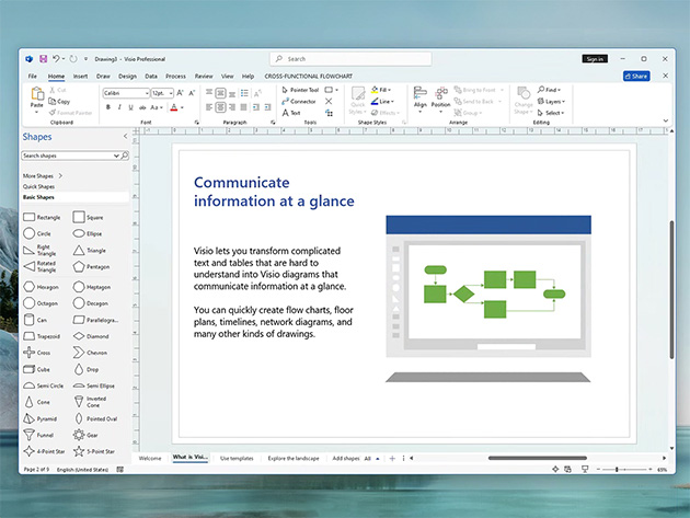 Microsoft Visio Professional 2024: Lifetime License for Windows