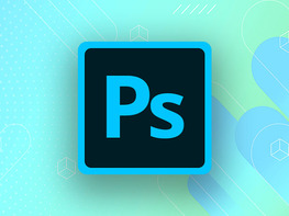 The Professional Graphic Designer Bundle