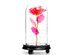 Everlasting Flower Glass Cover Decoration (Purple Rose)