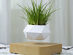 AIRSAI Floating Bonsai Plant Pot (Geometric Design)