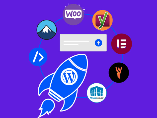 WPHoster - Managed WordPress Lifetime Hosting (Starter Plan)