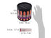 SHANY Loving Coral Lipstick Set - Long-Lasting and Moisturizing, Classic and Vibrant Lip Shades  - 10 Varying Lip Colors