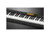 Casio CDPS350  CDP-S350 Compact Digital Piano Black