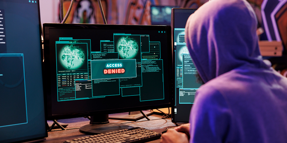 Hacking Web Applications & Penetration Testing: Web Hacking