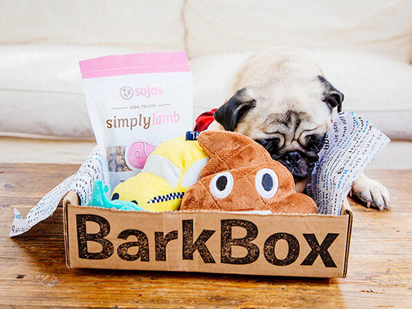 Barkbox Deal 1 Month Free With A Paid 12 Subscription