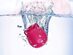 Rose Clitoral Suction