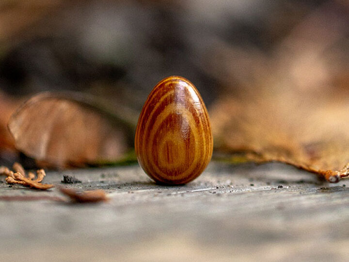 Thinking Egg | Pine Wood