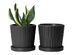 Greenaholics 6" Black Ceramic Flower Pots (Set of 2)