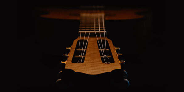 The Professional Guitar Master Class - Product Image