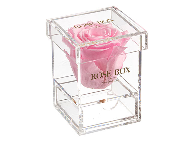 Rose Box™ Single Rose Jewelry Box (Light Pink)