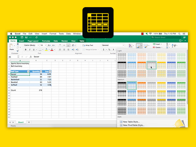 Microsoft Excel Pro Training for Mac & PC
