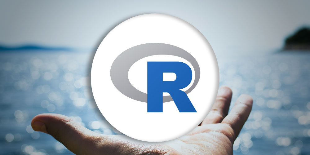 Introduction to R Programming