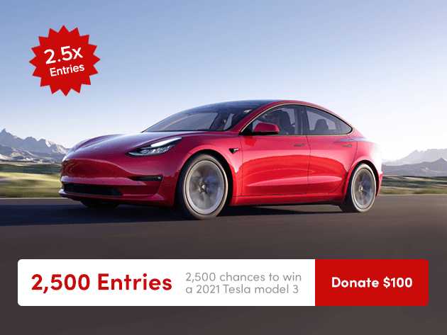 2500 Entries to Win a 2021 Tesla Model 3 & Donate to Charity