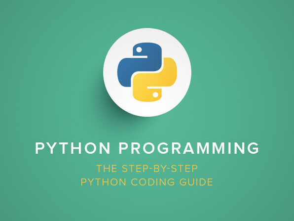 Python Programming: The Step-by-Step Python Coding Guide - Product Image