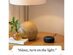 Amazon Echo Dot 3rd Generation Smart Speaker with Alexa - Heather Gray
