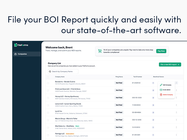 FileForms BOI Report Filing | StackSocial